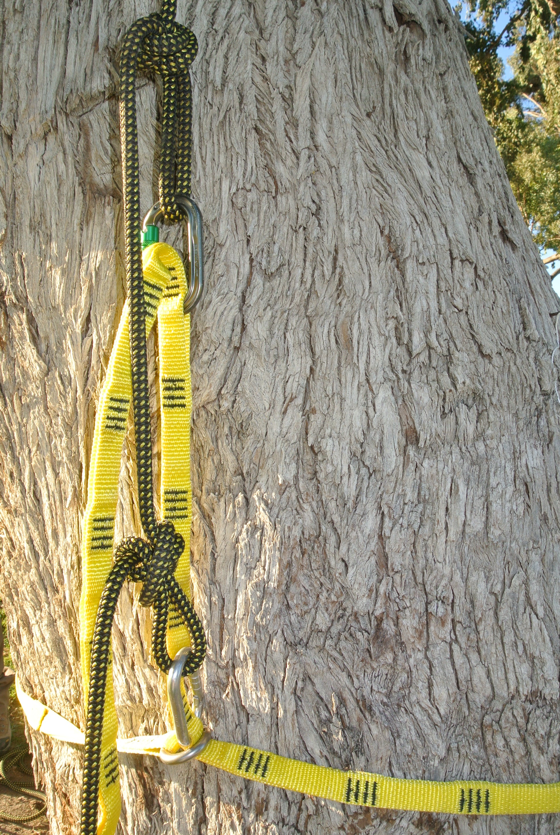 CMI Anchor Sling – CMI Corporation CMI Anchor Sling – CMI Corporation